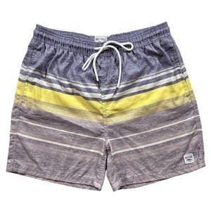 Spicy Tuna Men's Swim Trunks Large Multicolor Stiped Board Shorts - 573